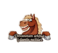 Magnetas Dovanotam arkliui į dantis nežiūri Magnetas Dovanotam arkliui į dantis nežiūri